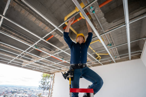 Best Affordable Plumbing Services  in Lakemoor, IL
