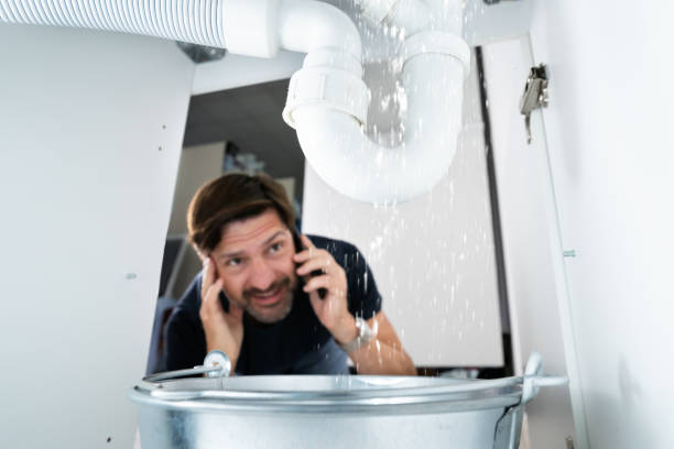 Best Plumbing Inspection Services  in Lakemoor, IL